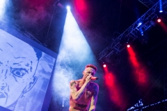 Prodigy die Antwoord